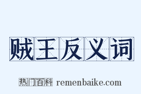 贼王反义词是什么意思的图片